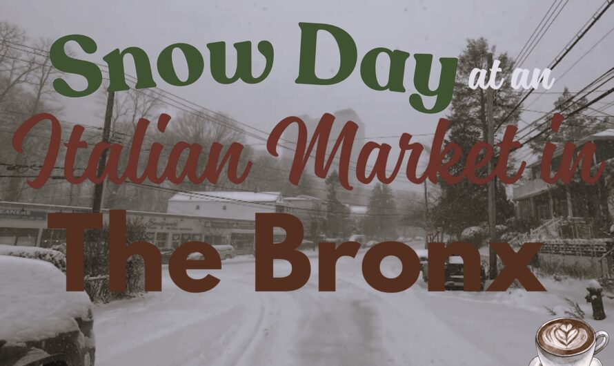 Snow Day at an Italian Market in The Bronx